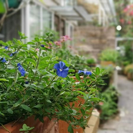 Shenzhen No'6 Garden Villa --French Window With Garden View,Close To Sea World &Shekou Ferry Port &K11 Ecoast &Subway Nearby ,Offer Western Food And Coffee &English Speaking With Tour Services Zewnętrze zdjęcie