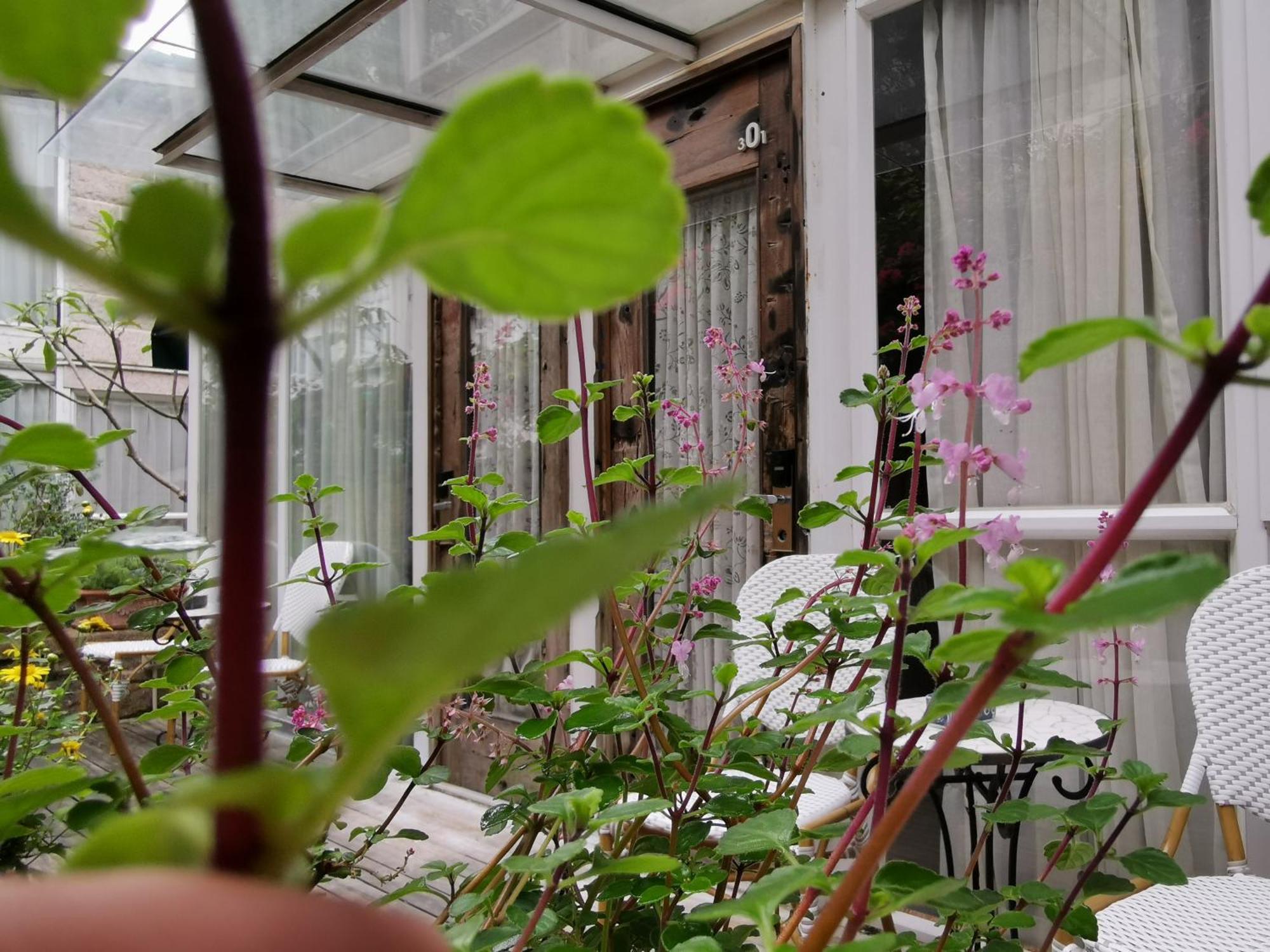 Shenzhen No'6 Garden Villa --French Window With Garden View,Close To Sea World &Shekou Ferry Port &K11 Ecoast &Subway Nearby ,Offer Western Food And Coffee &English Speaking With Tour Services Zewnętrze zdjęcie